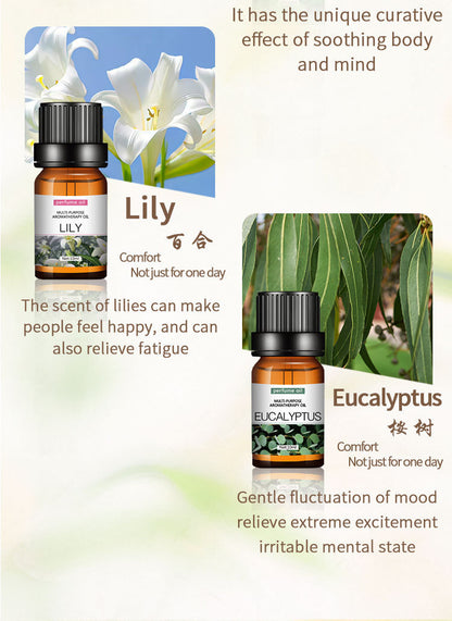 Set of Water-Soluble Essential Oils 12x10 ml (12oz)