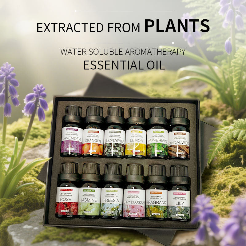 Set of Water-Soluble Essential Oils 12x10 ml (12oz)